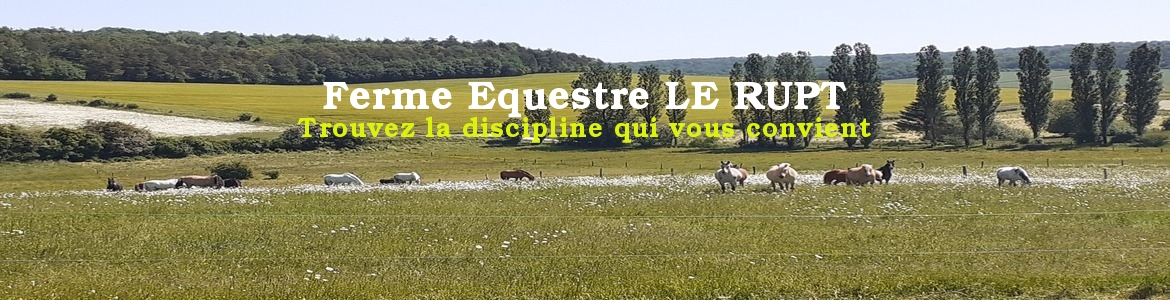 Ferme Equestre LE RUPT